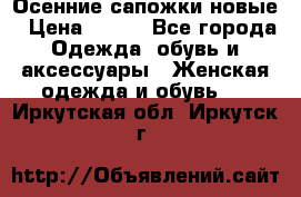 Осенние сапожки новые › Цена ­ 600 - Все города Одежда, обувь и аксессуары » Женская одежда и обувь   . Иркутская обл.,Иркутск г.